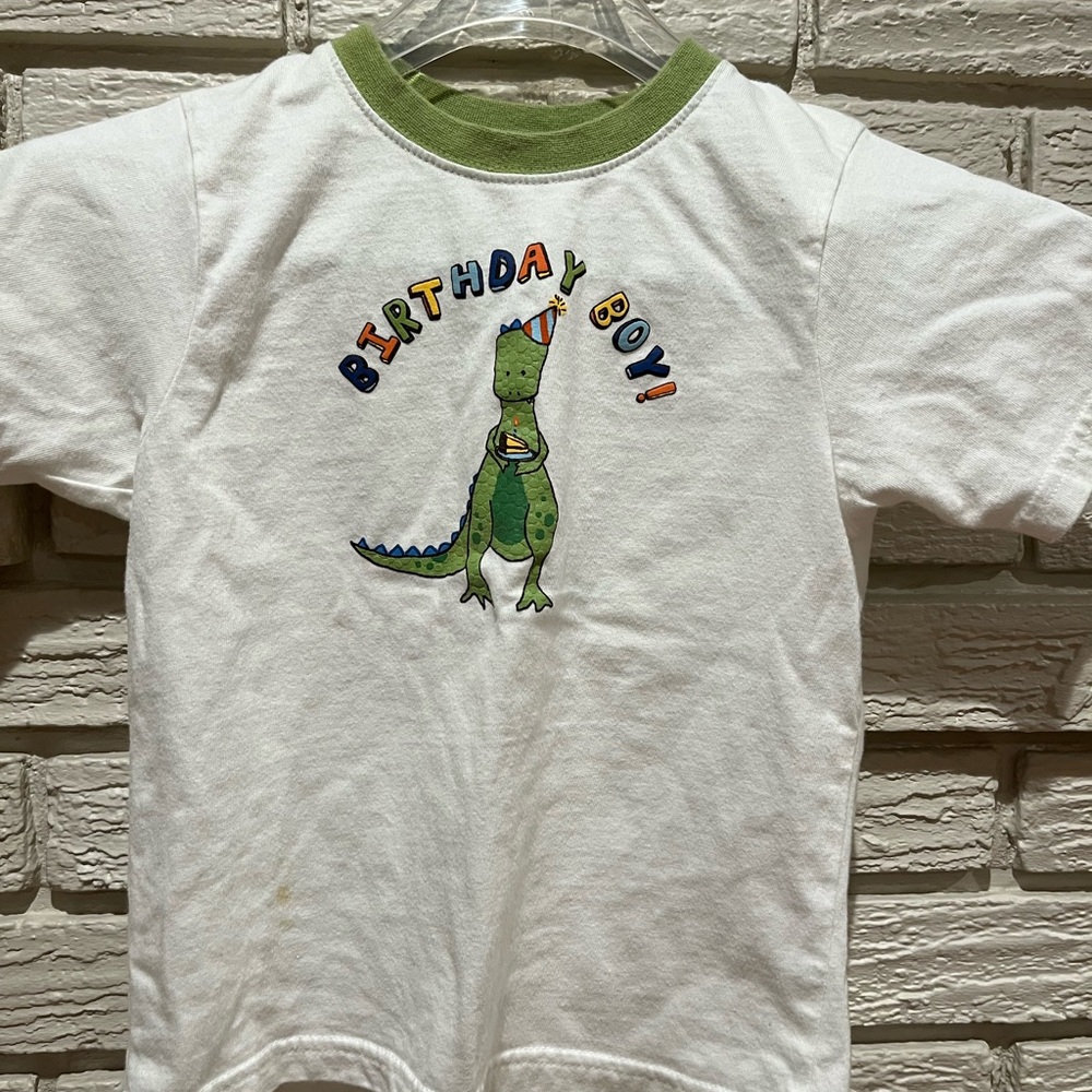 Gymboree Birthday Boy White and Green Dinosaur Tee Short Sleeve